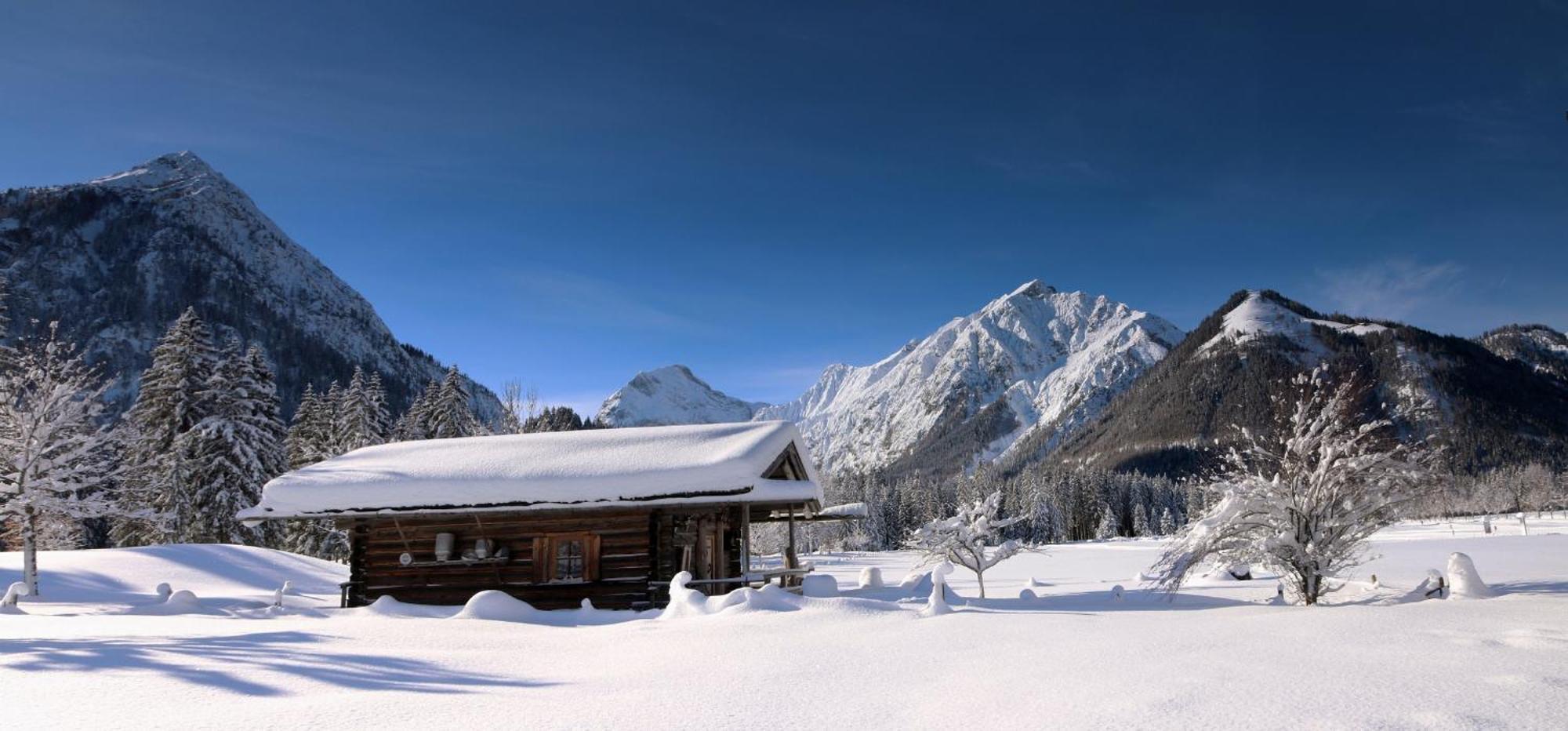 Apartment Apartment Karwendelblick Pertisau